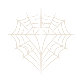 Diamond-shaped spider web icon