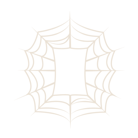 Document-shaped spider web icon